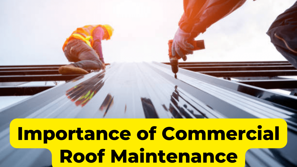 Importance of Commercial Roof Maintenance